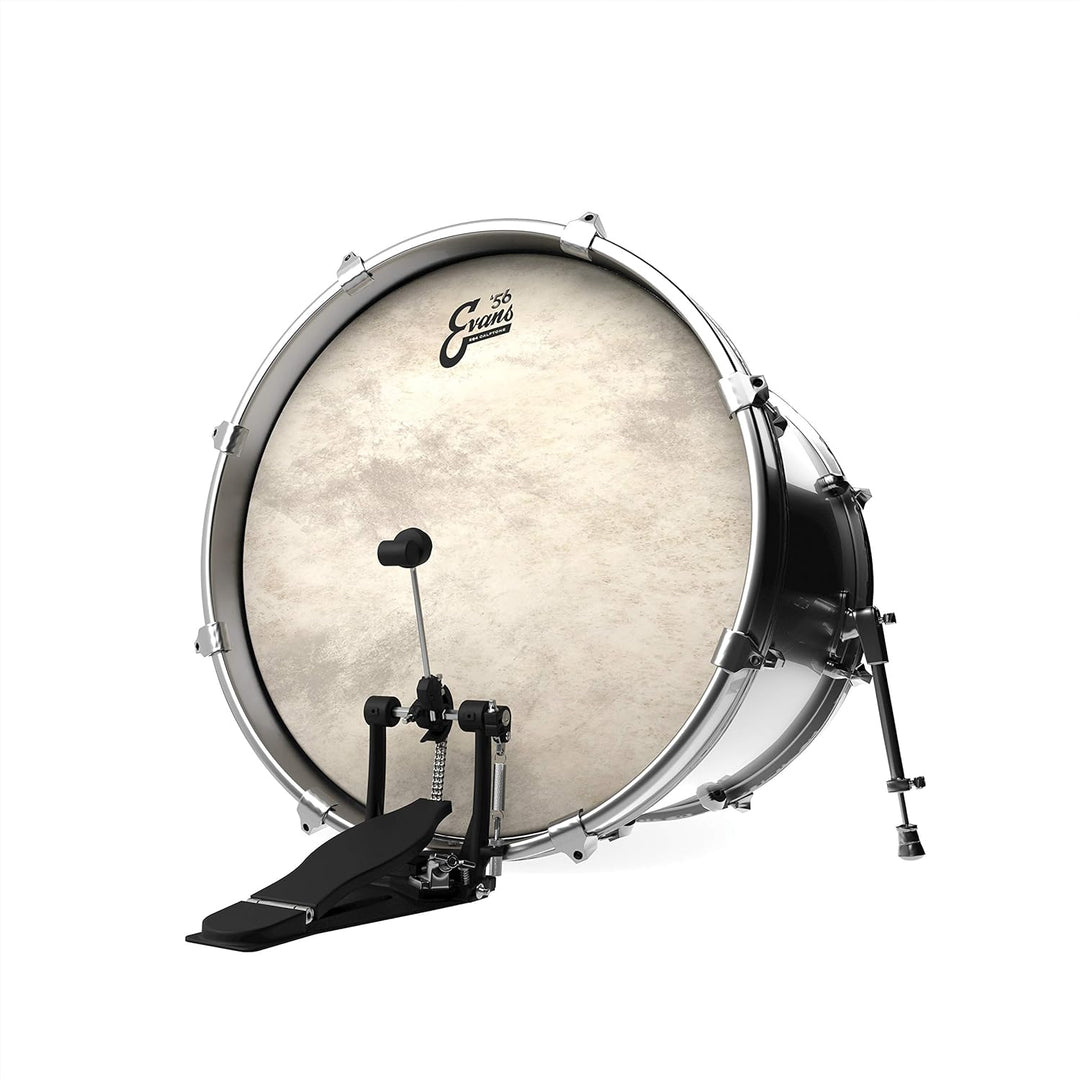 Evans BD24GB4CT Bassdrum Fell 24 Inch, 24 Inch