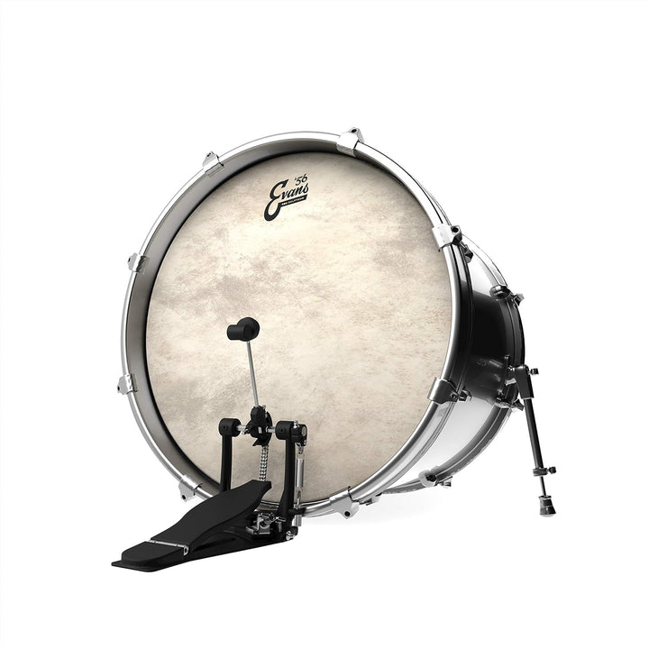 Evans BD24GB4CT Bassdrum Fell 24 Inch, 24 Inch