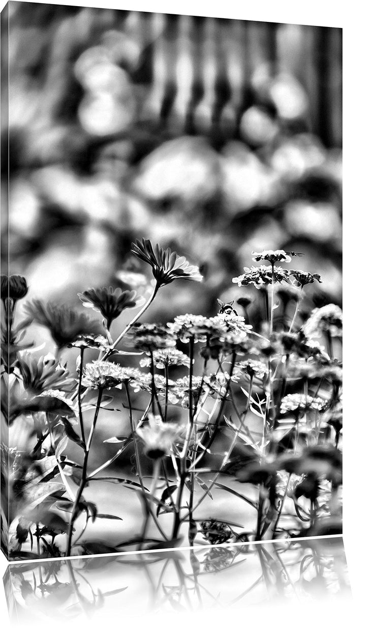 Monocrome, Blumenwiese, Format: 100x70 auf Leinwand, XXL riesige Bilder fertig gerahmt mit Keilrahme