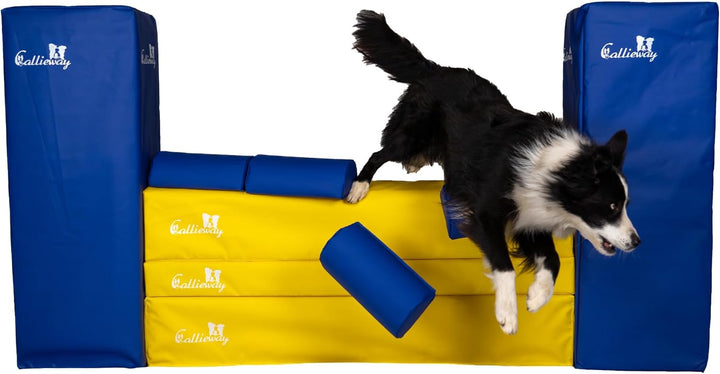 Callieway Turnier Agility Mauer „Bounce Over - Soft“ – alle FCI Sprunghöhen (gelb/blau), gelb/blau