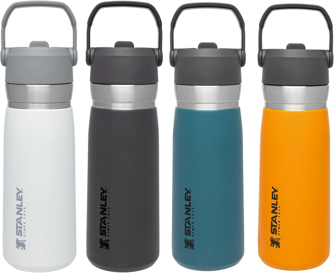 Stanley IceFlow Flip Straw Trinkflasche Edelstahl mit Strohhalm 0.65L/22OZ Charcoal – Thermosflasche