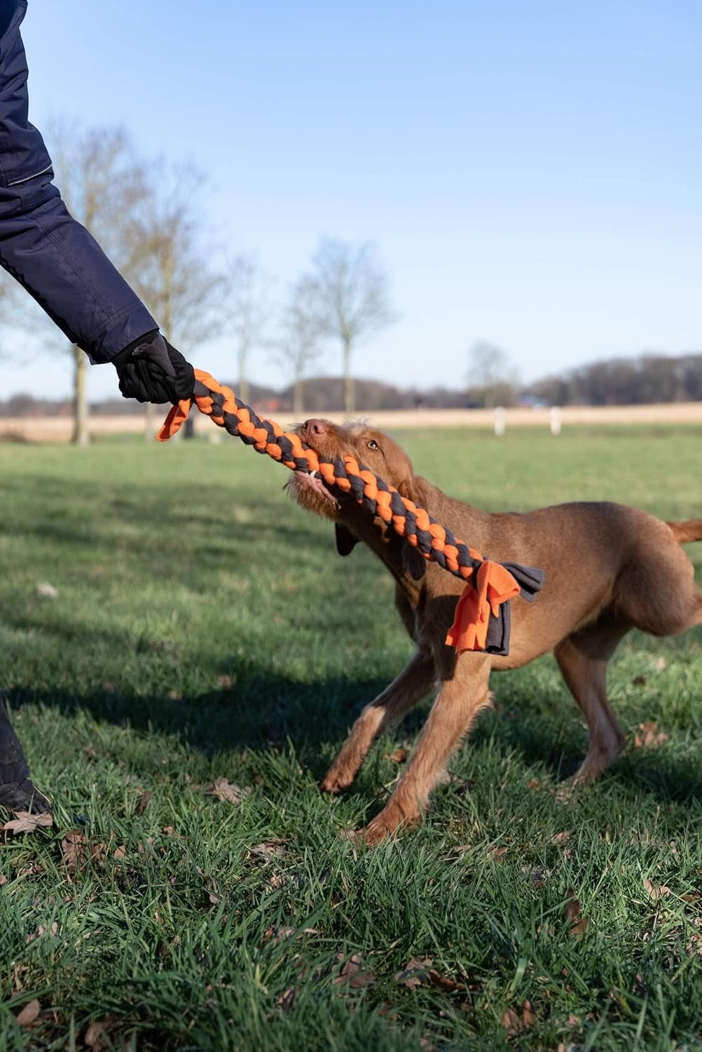 TrendPet Zergel, Zerrspielzeug, Spielzeug für Hunde (5,0x50cm), 5,0x50cm