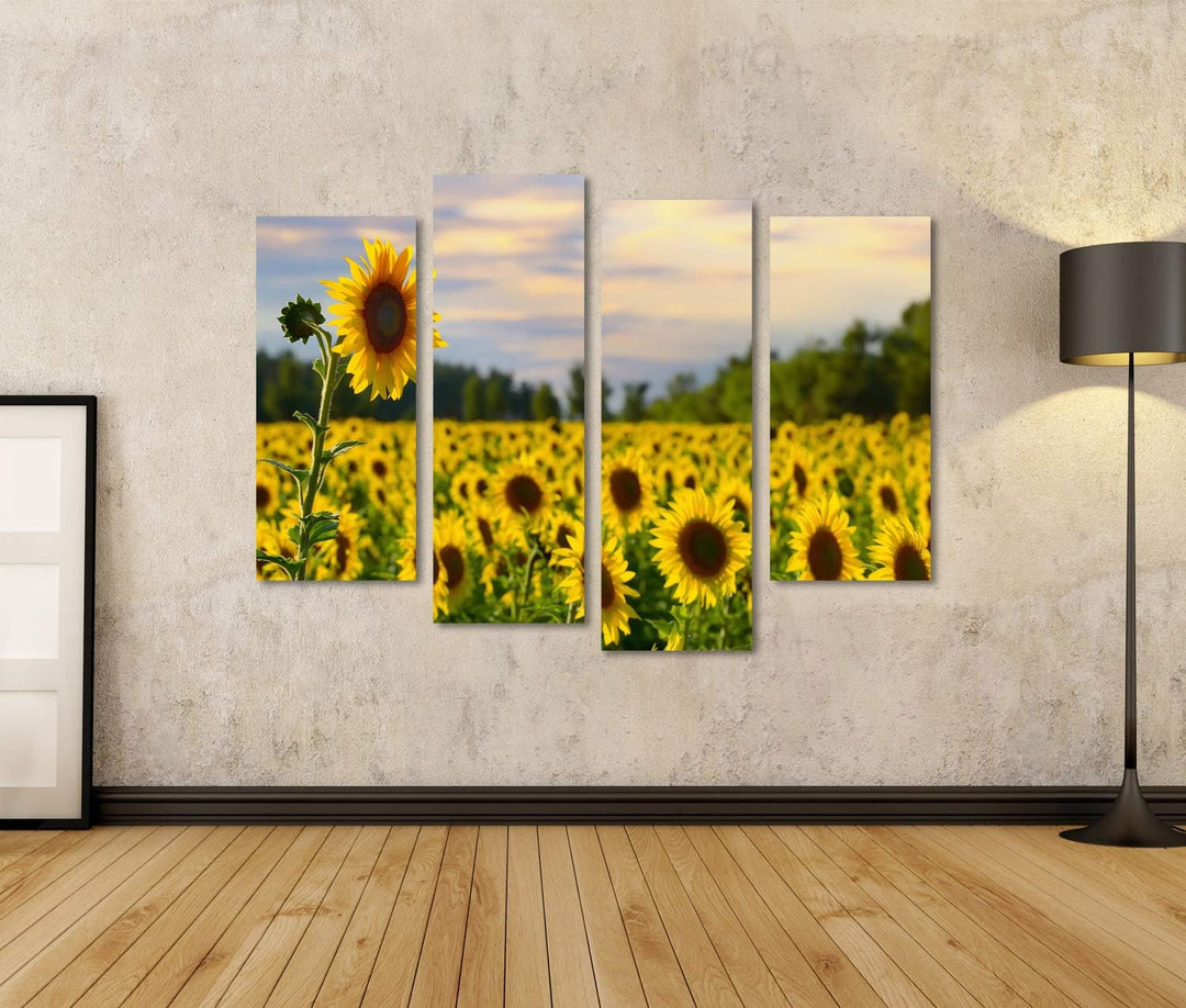 islandburner Bild auf Leinwand Eine Hohe Sonnenblume Mit Sonnenblumenfeld Und Schöner Abendhimmel Au