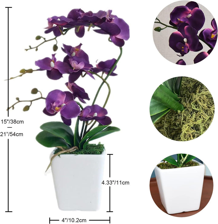 YSZL Phalaenopsis Orchidee, 38,1 cm, gross, Dunkelviolett, Dunkelviolett