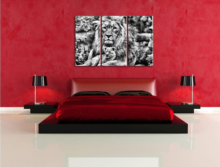 Pixxprint Löwe kuschelt mit Jungtier als Leinwandbild/Grösse: 3 Teilig (120x80) cm/Wandbild/Kunstdru