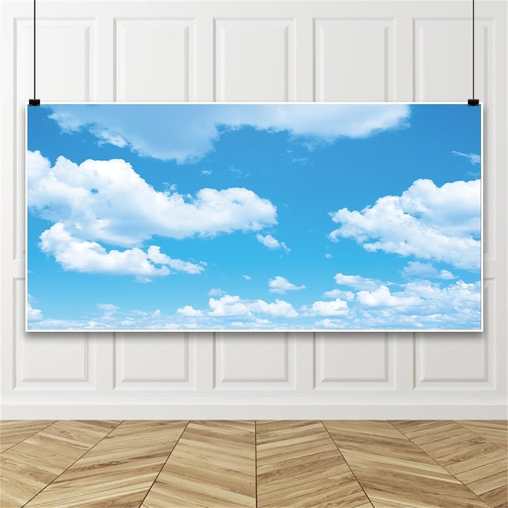 Renaiss 6x3m Himmel Fotografie Hintergrund Blauer Himmel weisse Wolke Hintergrund gross Vinyl Hinter