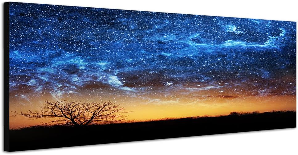 Paul Sinus Art Panoramabild auf Leinwand und Keilrahmen 150x50cm Wiese Baum Himmel Nacht Sterne