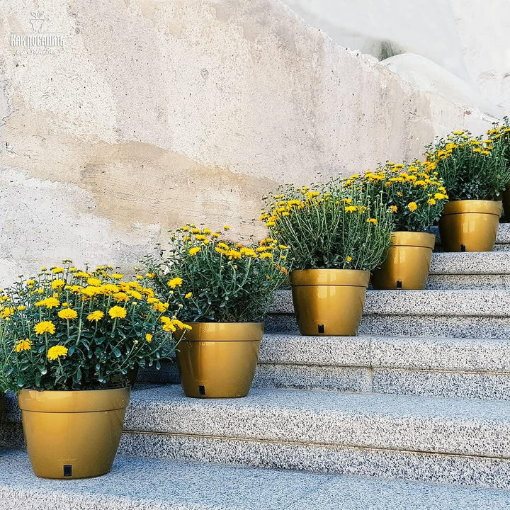 Santino ASTI 3er Set 18CM Selbstwässernder Blumentopf mit Wasserstandsanzeiger - Rund Premium Qualit