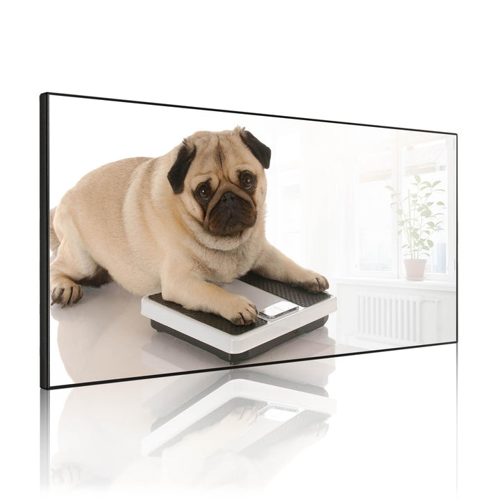 banjado Magnettafel schwarz 78 x 37cm / Magnetwand Metall/Magnetpinnwand als Memoboard/Pinnwand Magn