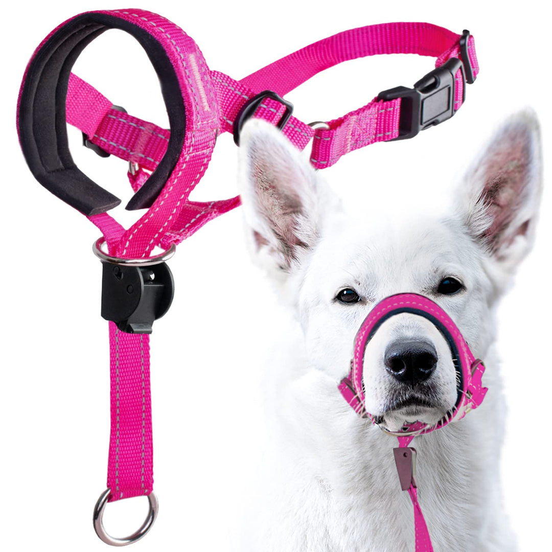GoodBoy Halfter für Hunde, Nylon, Rosa, 2 Stück 2 Rosa Nylon / schwarze Polsterung, 2 Rosa Nylon / s