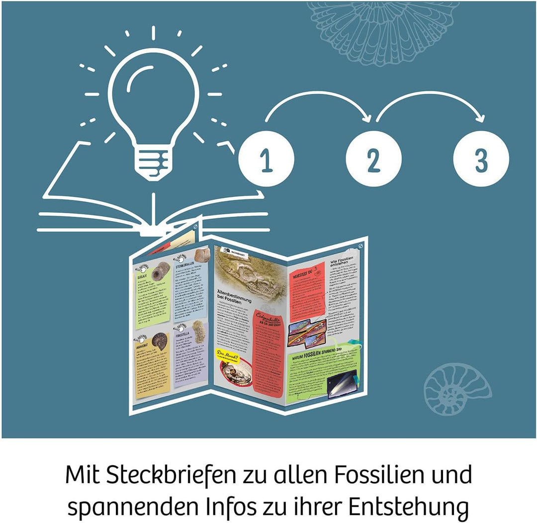 KOSMOS 617226 Fossilien Ausgrabungs-Set, Grabe echte Versteinerungen und Bernstein selbst aus, mit H