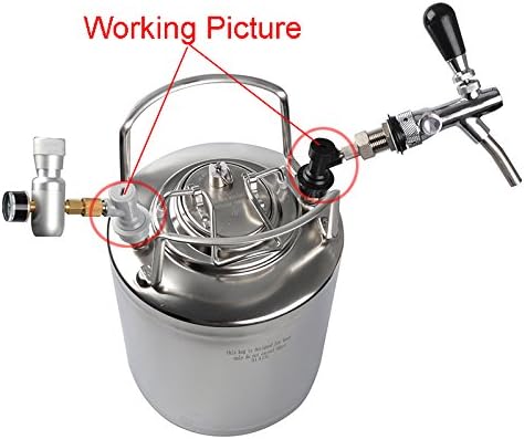 4 STÜCKE Gewinde Ball Lock Fass Armaturen Mit Schlauchschellen Kunststoffverbinder Mit Adapterklemme