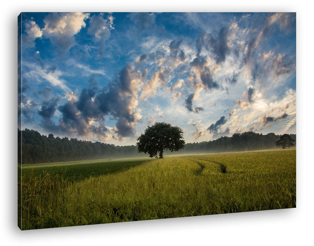 deyoli einzelner Baum vor einem atemberaubenden Himmel Format: 80x60 als Leinwandbild, Motiv fertig