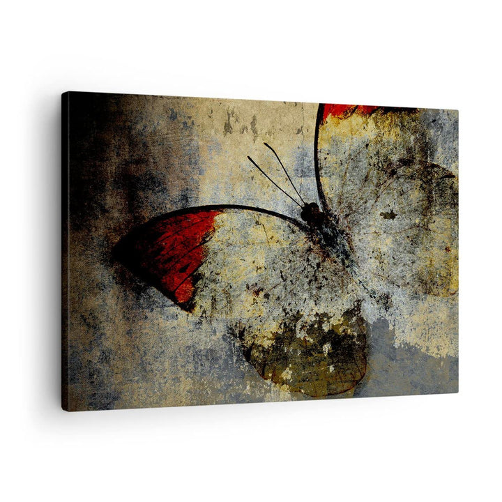 Bilder auf Leinwand Schmetterling Abstraktion Leinwandbild 70x50cm Wandbilder Dekoration Wohnzimmer