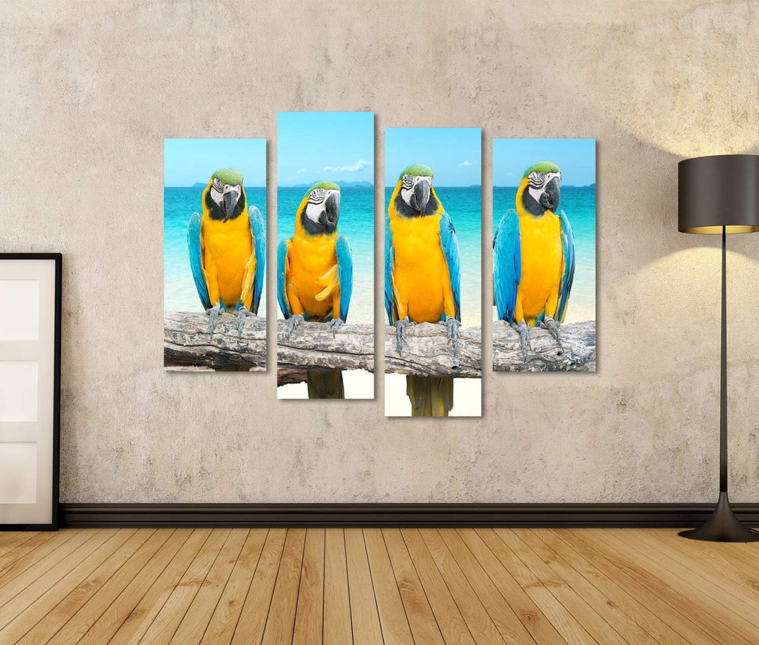 islandburner Bild auf Leinwand Blaue Und Goldene Aras Am Tropischen Strand Und Meer Bilder Wandbilde
