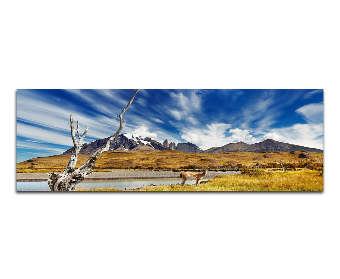 Paul Sinus Art Panoramabild auf Leinwand und Keilrahmen 120x40cm Chile Patagonien Nationalpark Lands