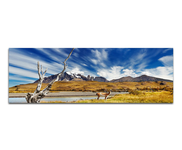Paul Sinus Art Panoramabild auf Leinwand und Keilrahmen 120x40cm Chile Patagonien Nationalpark Lands