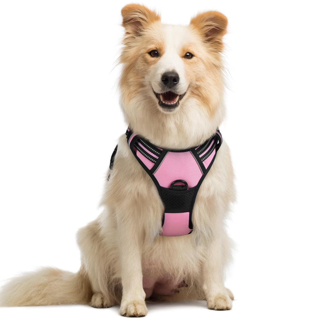 rabbitgoo Hundegeschirr Mittelgrosse Hunde, Anti Zug Geschirr mit Kontrolle, No Pull Verstellbar Hun