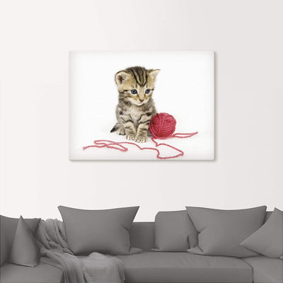 ARTland Leinwandbilder Wandbild Bild auf Leinwand 80x60 cm Katze Tiere Babykatze Haustiere Süss Mädc