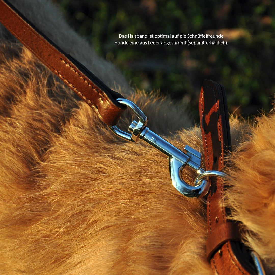 Schnüffelfreunde Halsband für Hunde aus Leder, Hundehalsband für den grossen, mittleren und kleinen