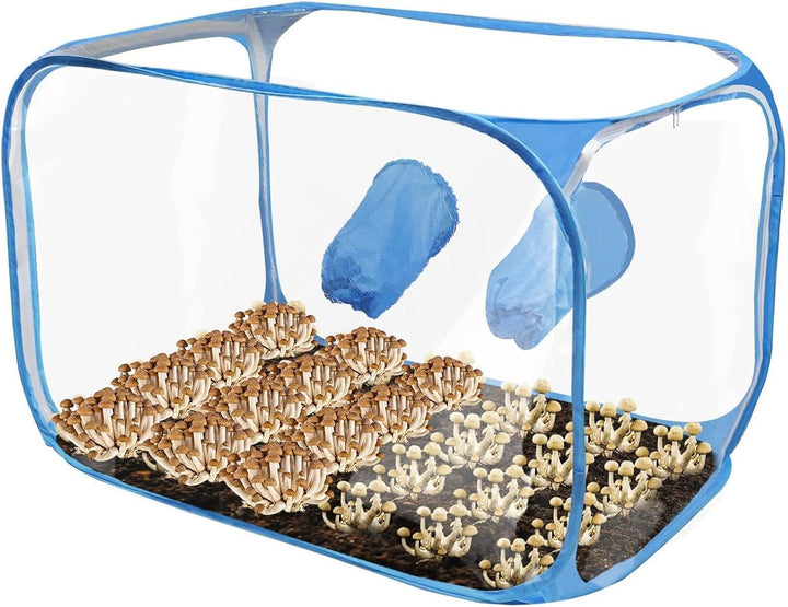 Pilz-Anzuchtbox | Aufklappbares faltbares belüftetes Anbauhaus | 76 x 43 x 44,5 cm Pilzbox | für Win