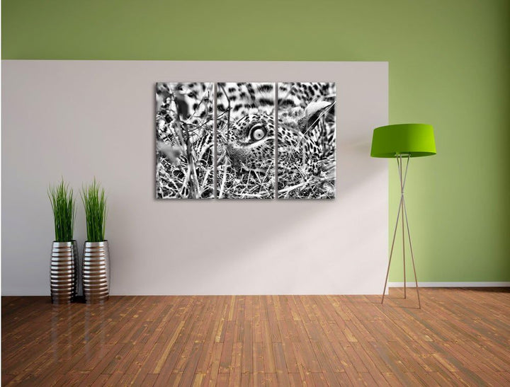 Pixxprint Leopard als Leinwandbild/Grösse: 3 Teilig (120x80) cm/Wandbild/Kunstdruck/fertig bespannt