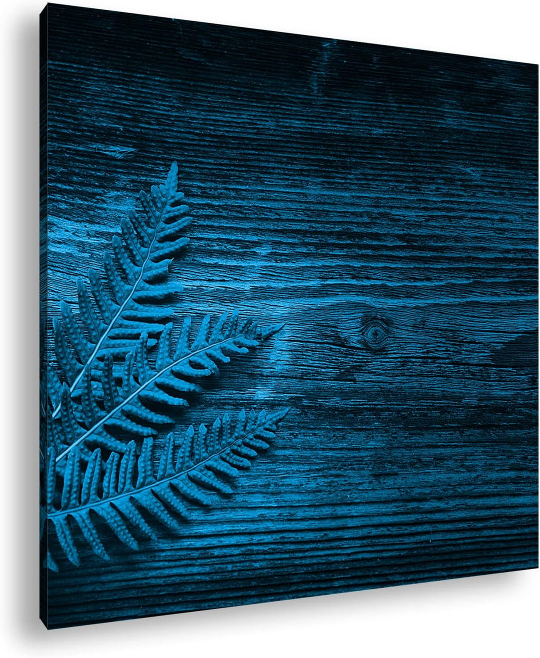 deyoli grüner Farn auf Einer Holztischplatte Format: 40x40 Effekt: Zeichnung als Leinwandbild, Motiv