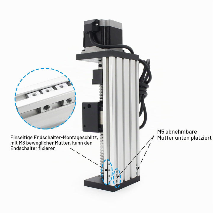 RATTMMOTOR Linearführung,CNC Doppelte Lineartisch-Aktuator 100 mm Länge Linearantrieb, Kugelumlaufsp