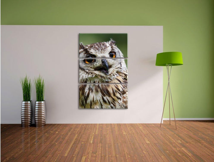 Pixxprint sehr müde Waldeule 3-Teiler Leinwandbild 120x80 Bild auf Leinwand