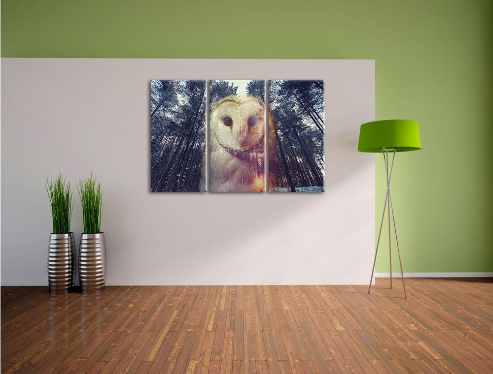 Pixxprint Portrait Einer Eule als Zeichen des Waldes 3-Teiler Leinwandbild 120x80 Bild auf Leinwand