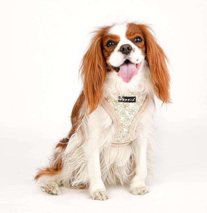 Puppia Hundegeschirr für kleine und mittelgrosse Hunde - Hepatica Harness A - verstellbar und komfor