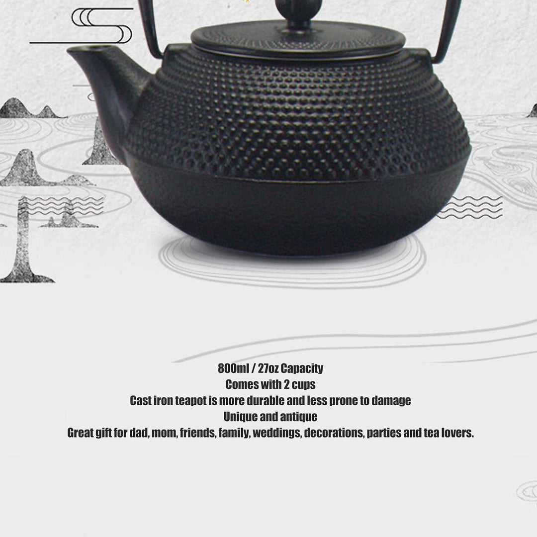 Teekannen-Set aus Gusseisen, japanischer Tetsubin-Wasserkocher, Tee-Ei, 800 ml Fassungsvermögen, lan