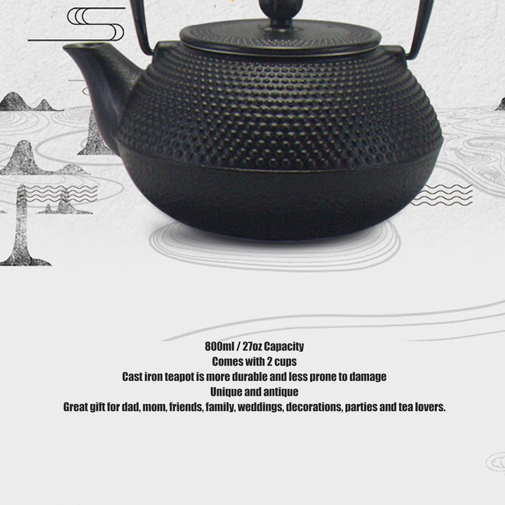 Teekannen-Set aus Gusseisen, japanischer Tetsubin-Wasserkocher, Tee-Ei, 800 ml Fassungsvermögen, lan