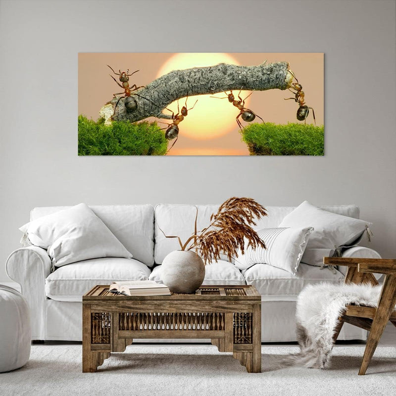 Wandbilder Dekoration Wohnzimmer Tiere Ameisen Brücke Natur Panorama Bilder auf Leinwand 120x50cm Le