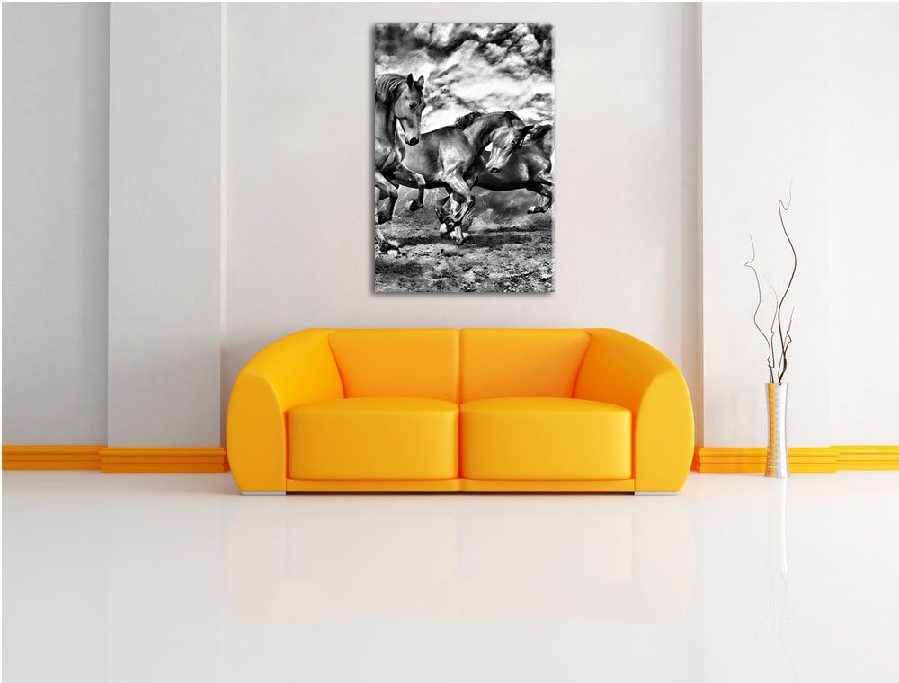 Monocrome, Wildpferde , Format: 100x70 auf Leinwand, XXL riesige Bilder fertig gerahmt mit Keilrahme