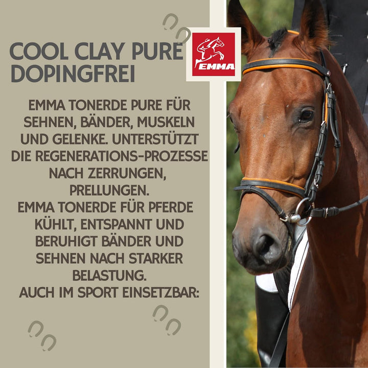 EMMA essigsaure Tonerde Pferde ⇒ Tonerde Pferd Dopingfrei 2*1,5Kg - Pferdebalsam Kühlend - Tonerdepa