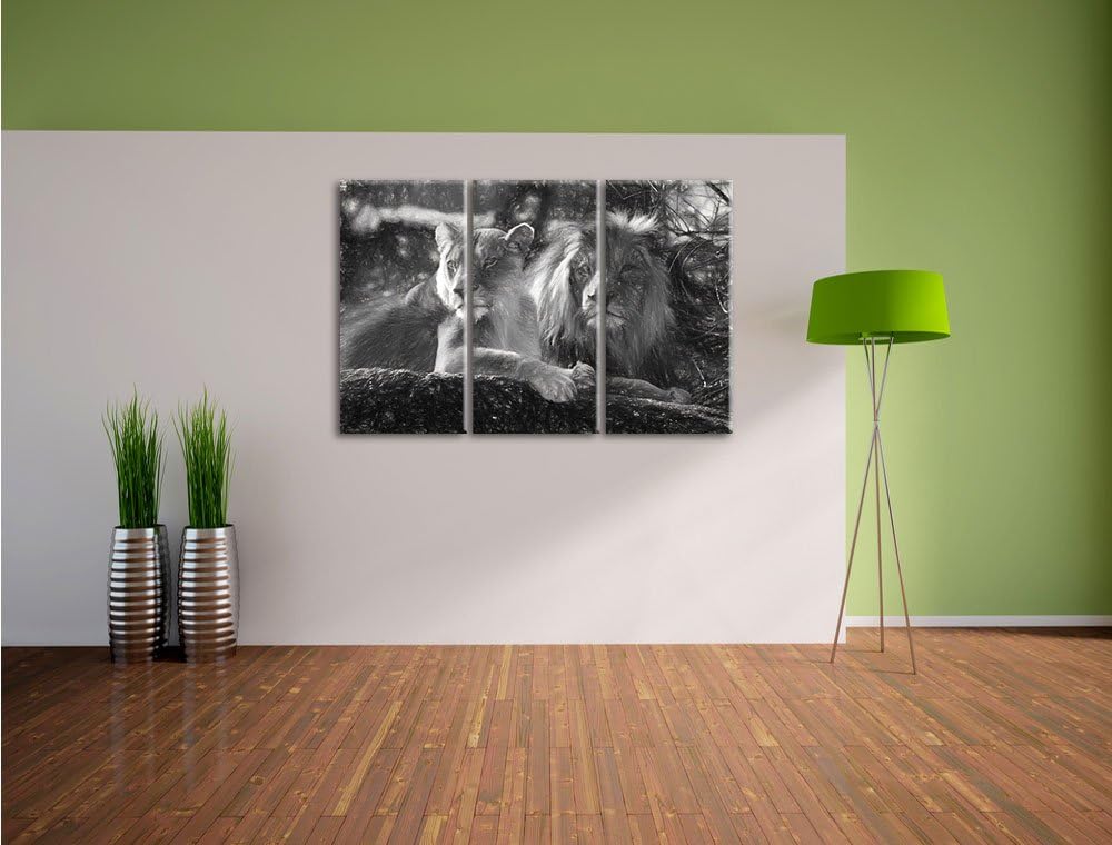 Pixxprint interessiertes Löwenpaar Kunst als Leinwandbild/Grösse: 3 Teilig (120x80) / Wandbild/Kunst