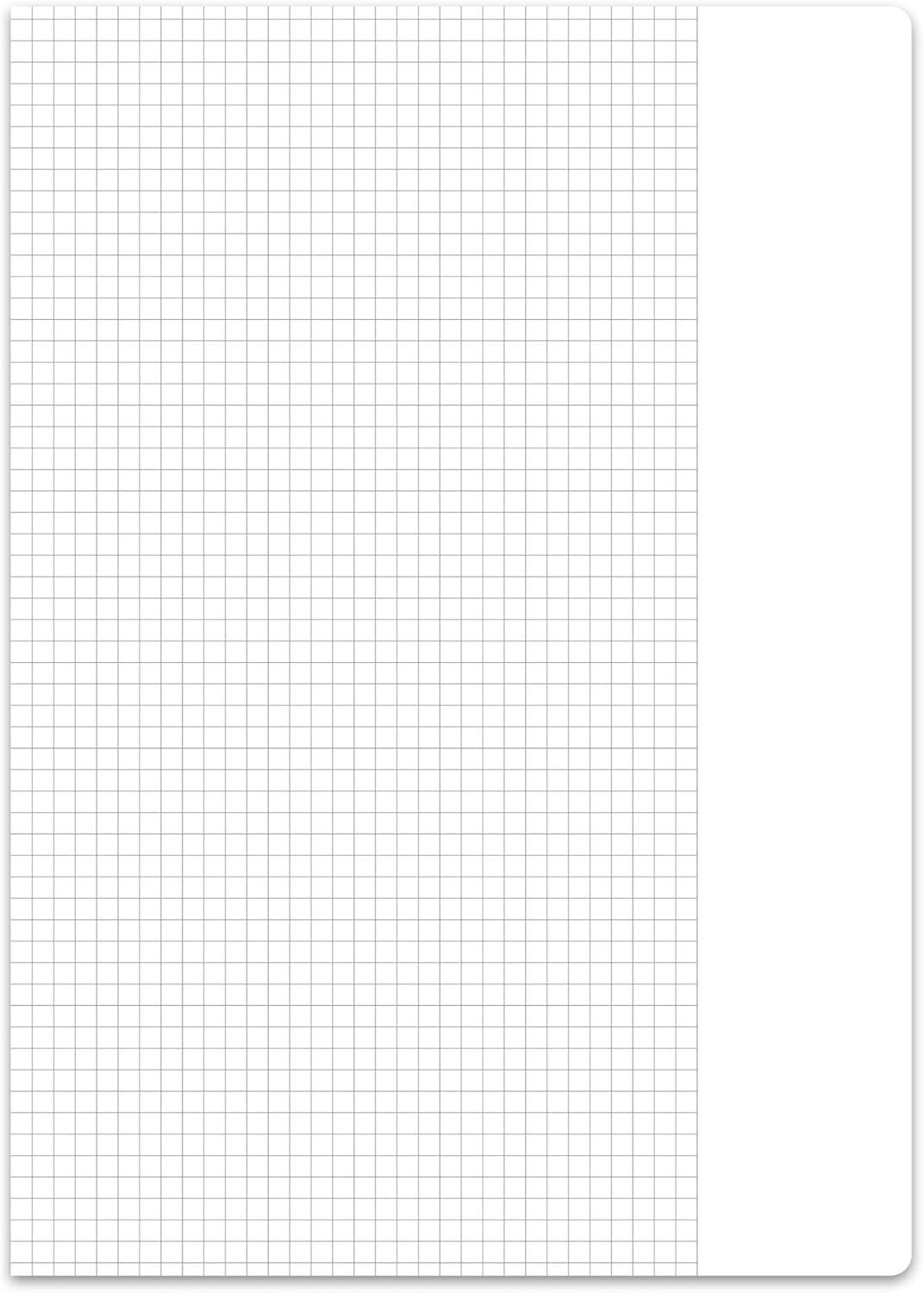 Staufen premio Schulblock - 5 Hefte je 50 Blatt, DIN A4, Lineatur 26 (5 mm kariert mit Rand), 4-fach