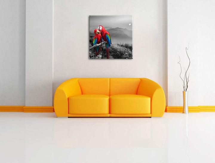 süsse Papageien auf AST schwarz/weiss, Format: 70x70 auf Leinwand, 70x70
