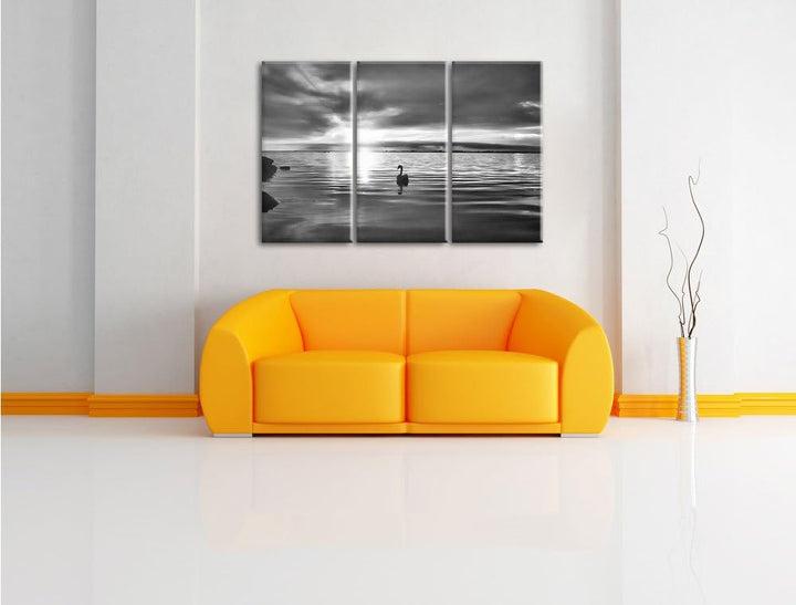 Pixxprint Einsamer Schwan auf See als Leinwandbild | Grösse: 3 Teilig (120x80) | Wandbild| Kunstdruc