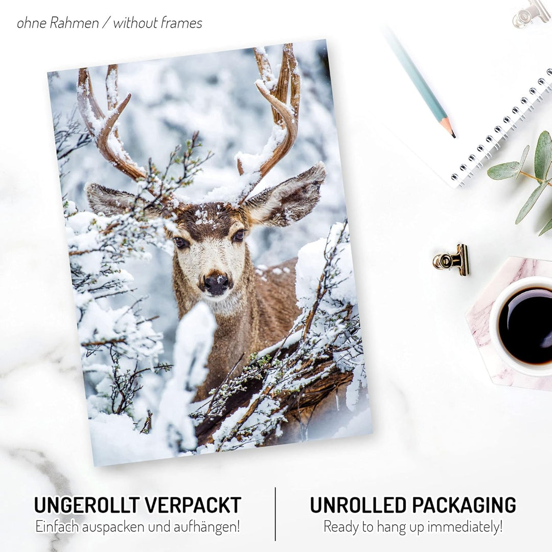 Kreative Feder Poster-Set | Winter | 6 Bilder Deko Wohnzimmer Modern Schlafzimmer Bild für Ihre Wand