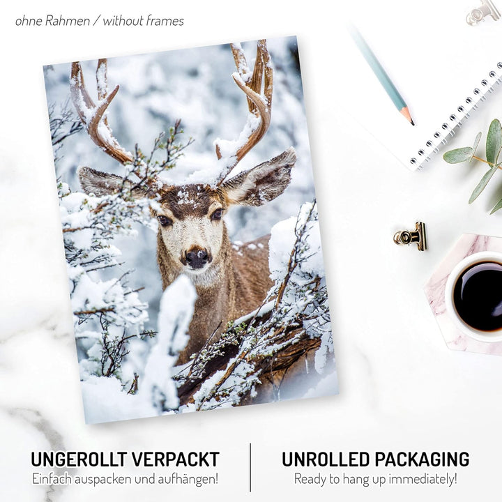 Kreative Feder Poster-Set | Winter | 6 Bilder Deko Wohnzimmer Modern Schlafzimmer Bild für Ihre Wand