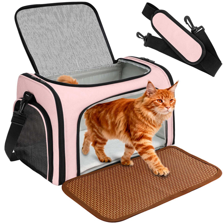 Katzentransporttasche für Katzen und kleine Hunde – Faltbar &amp; gut belüftete Hundebox. Katzentasche m