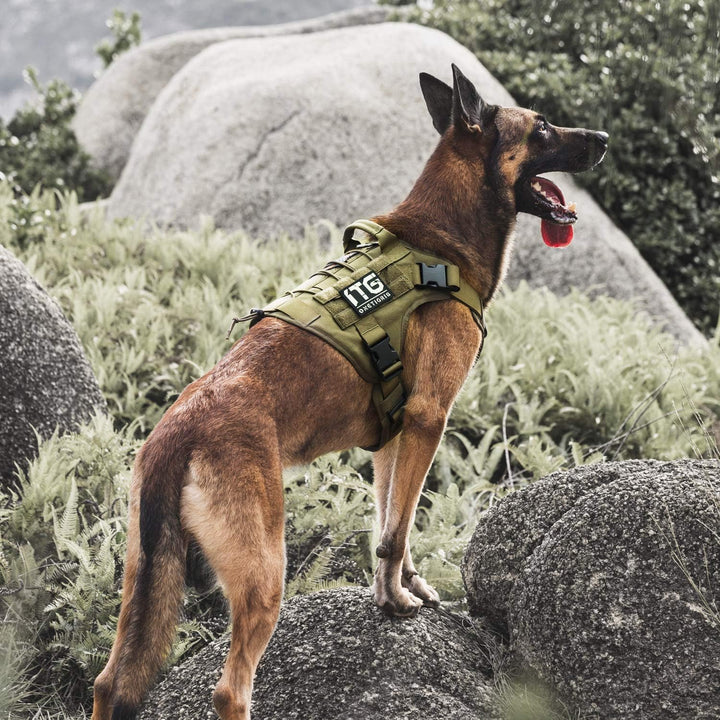 OneTigris Taktische Hundeweste Service Hundegeschirr MOLLE Hundeausbildung Geschirr 1000D Nylon (M,