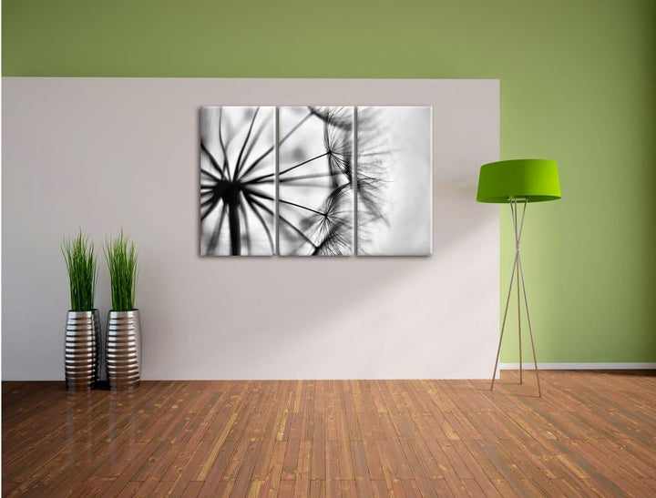 Pixxprint Weisse Pusteblumen als Leinwandbild/Grösse: 3 Teilig (120x80) cm/Wandbild/Kunstdruck/ferti