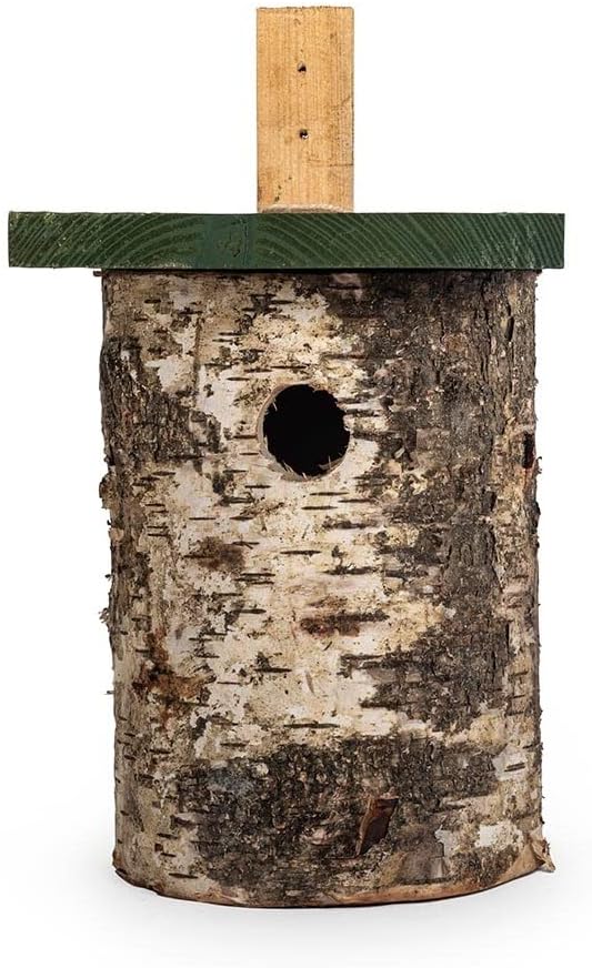 CJ Wildlife Nistkasten – Vogelnistkasten für draussen – Birke FSC® 100% – 32 mm Einflug – für Kohlme