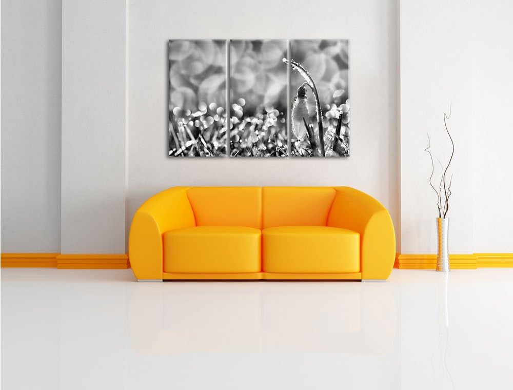 Pixxprint Schneeglöckchen auf Frühlingswiese als Leinwandbild/Grösse: 3 Teilig (120x80 cm) cm/Wandbi
