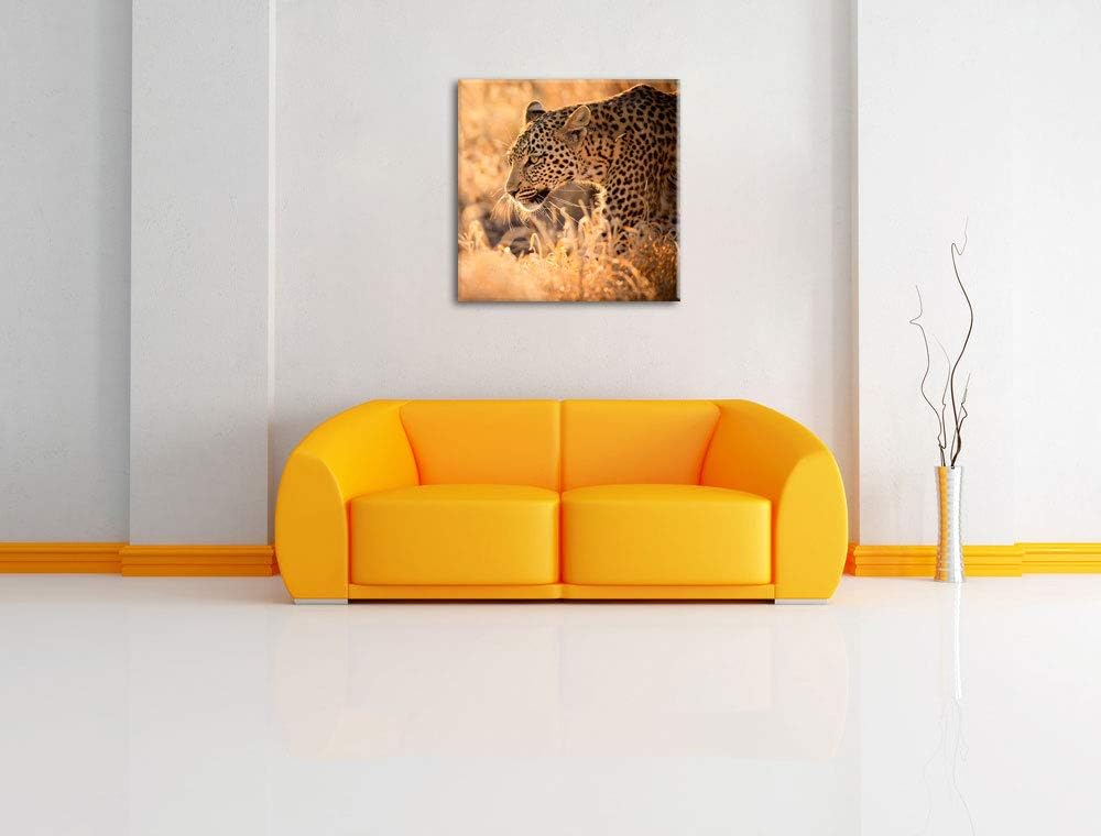 Jagender Leopard, Format: 70x70 auf Leinwand, XXL riesige Bilder fertig gerahmt mit Keilrahmen, Kuns