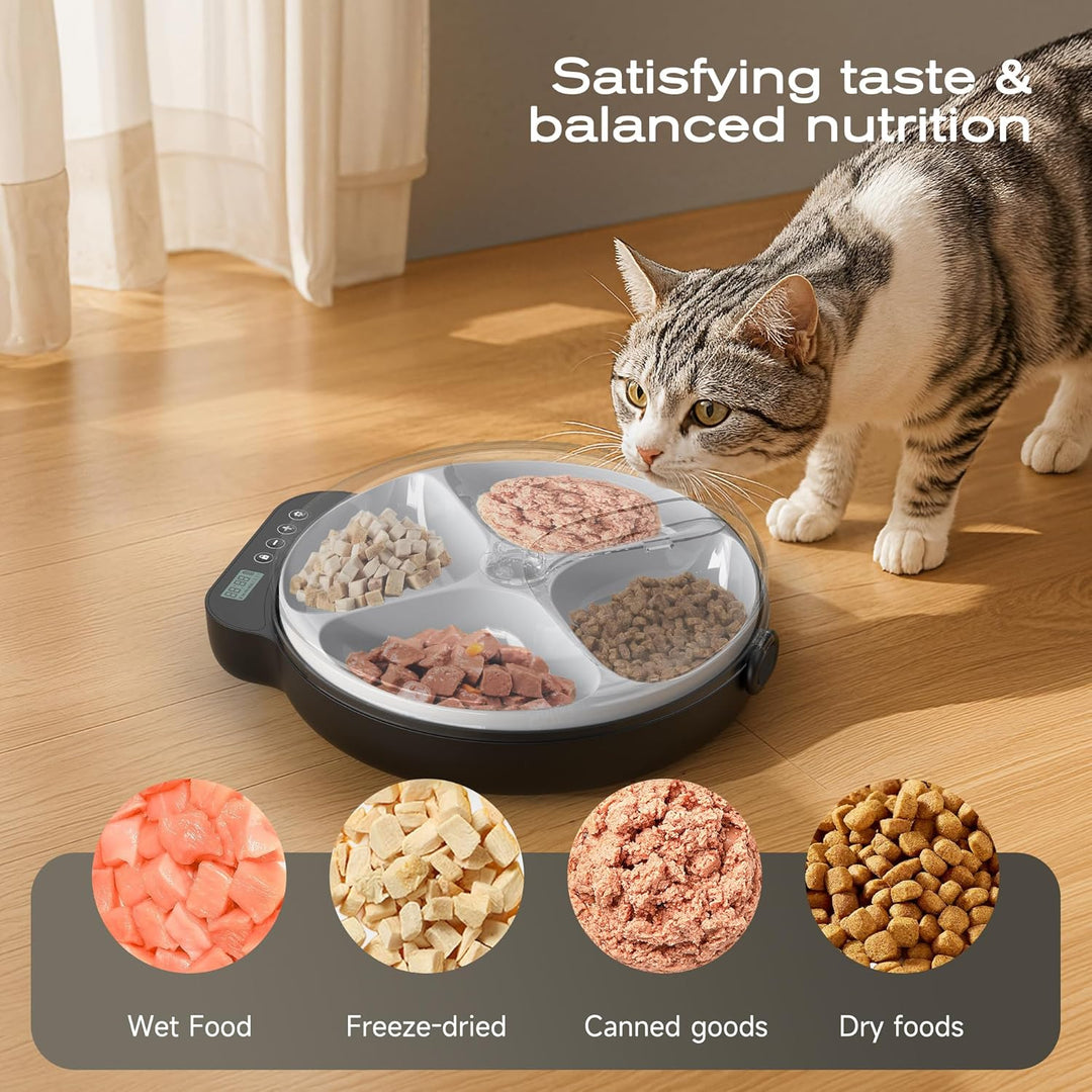 Futterautomat Katze Nassfutter Katzenfutter Automat: Futterspender Katze mit Programmierbarem Timer