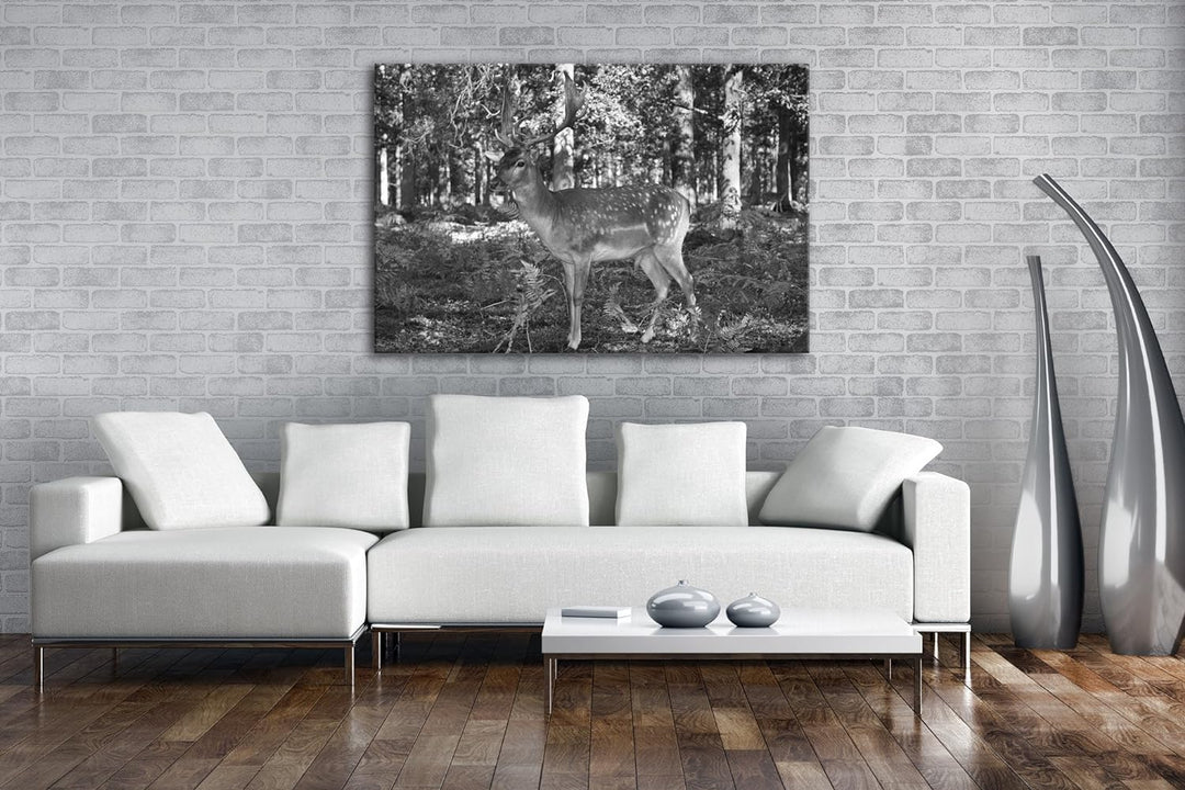 deyoli Bezaubernder Hirsch im Wald Effekt: Schwarz/Weiss im Format: 80x60 als Leinwandbild, Motiv fe